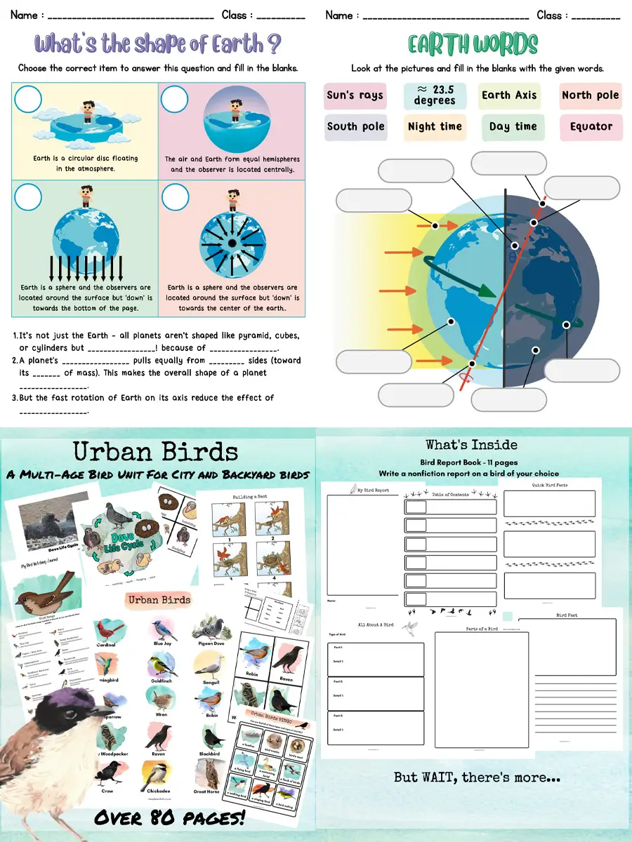 Mega Science Worksheet Bundle – 578 Pages of Hands-On Learning for Kids 2 Mega Science Worksheet Bundle – 578 Pages of Hands-On Learning for Kids - Image 2